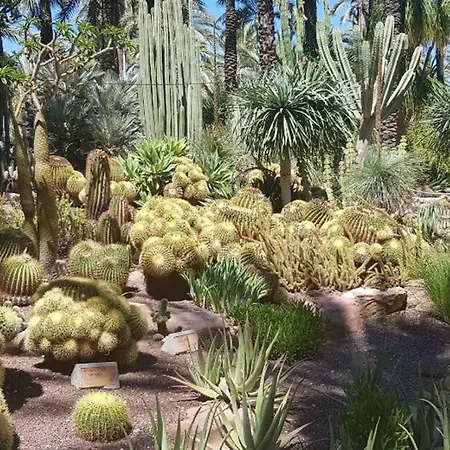 Residential Jardin Del Pintor - La Casa Amarilla